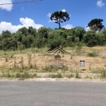 Terreno à venda, 189 m² por R$ 143.640 - Moradias Bom Jesus - Campo Largo/Paraná