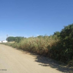 Terreno para Venda em Cabo Frio, Vila do Peró, 1 banheiro