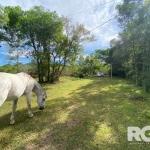 Sítio para Comprar em Porto Alegre RS | Localizado no Extremo Sul da cidade, conta com 6.500m², poço artesiano, Galpão campeiro com amplo dormitório, banheiro, fogão campeiro e toda a tranquilidade qu