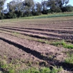 Área  com 4,742 hectares na Av. do Lami, Bairro Belém Novo, Porto Alegre/RS. Terra agricultável, atualmente com culturas da época, o que mantém a área em excelentes condições de conservação. Proprieda