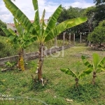 Terreno de 272m² no bairro Hípica.          &lt;BR&gt;&lt;BR&gt;Terrenos Escriturado, todo cercado, , perto de todo comércio da Zona Sul fica a 100m da AthlticSul Academia e 500m do Zaffari e muito ma