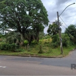 Terreno localizado na Estrada 3 Meninas, em uma importante via do Bairro Vila Nova em processo de duplicação como contra partida da construção do Condomínio Alphaville, importante empreendimento imobi