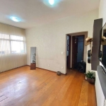 Apartamento à venda, 2 quartos, 1 vaga, Santa Amélia - Belo Horizonte/MG