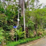 Terreno à venda, 1010 m² por R$ 1.350.000 - Toninhas - Condomínio Ponta das Toninhas -- Ubatuba/SP