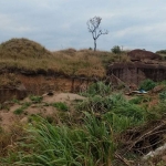 Terreno à venda, 20000 m² por R$ 1.800.000 - Pedregulho - Salto/SP