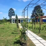 Terreno à venda na Rua Alfredo Pinto, 941, Parque da Fonte, São José dos Pinhais