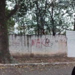 Terreno à venda Jardim São Caetano - São Caetano do Sul - SP