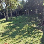 Terreno à venda Dos Finco - São Bernardo do Campo - SP