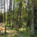 Terreno à venda Alvarenga - São Bernardo do Campo - SP