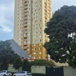 Apartamento à venda 2 quartos 1 suíte 1 vaga Osvaldo Cruz - São Caetano do Sul - SP