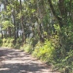 Terreno à venda Batistini - São Bernardo do Campo - SP