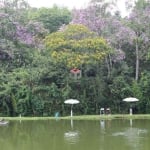 Terreno à venda Riacho Grande - São Bernardo do Campo - SP