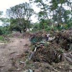 Terreno com 7 Lotes - Totalizando 3.700m²