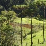 SÍTIO À VENDA NA SERRA DO JAPI - SANTA CLARA - JUNDAÍ/SP