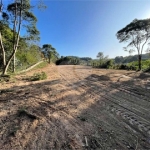 Terreno comercial à venda na Rua Vereador Admar Bertolli, KM 7372, Jardim Marambaia, Almirante Tamandaré