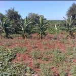 Chácara para Venda em Paiçandu, RURAL, 2 dormitórios, 2 banheiros, 3 vagas