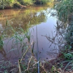 Chácara para Venda em Paiçandu, RURAL, 2 dormitórios, 2 banheiros, 3 vagas