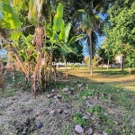 Atenção construtores ! Excelente Chácara à VENDA dentro de Condominio em Buraquinho, Lauro de Freitas - BA, área de 3.600m2 com possibilidade de contruçao de empreendimento. Condom