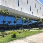 ÁREA COMÉRCIAL 600M2 NO PINA