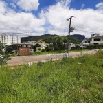 Terreno com vista para a colina à venda, 425 m² - Pedra Branca - Palhoça/SC