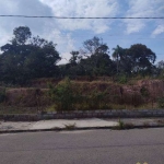 Terreno à venda, 250 m² por R$ 270.000,00 - Loteamento Jardim Tropical - Jundiaí/SP