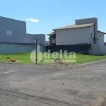 Terreno disponível para venda no bairro Minas Gerais em Uberlândia-MG