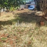 Terreno disponível para venda no bairro Custódio Pereira em Uberlândia-MG