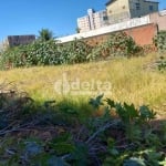 Área disponível para venda no bairro Nossa Senhora Aparecida em Uberlândia-MG