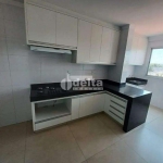 Apartamento disponível para venda no bairro Vigilato Pereira em Uberlândia-MG