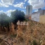 Terreno disponível para venda no bairro Vigilato Pereira em Uberlândia-MG