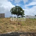 Terreno disponível para venda no bairro Jardim Inconfidência em Uberlândia-MG