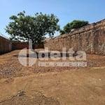 Terreno disponível para venda no bairro Segismundo Pereira em Uberlândia-MG