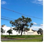 Terreno disponível para venda no bairro Bosque dos Buritis em Uberlândia-MG