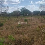 Chácara disponível para venda na Zona Rural de Uberlândia em Uberlândia-MG