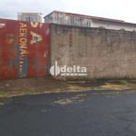 Terreno disponível para venda no bairro Santa Mônica em Uberlândia-MG