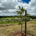 Terreno em condomínio disponível para venda no bairro Jardim Sul em Uberlândia MG