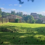 Terreno-Lote Residencial para venda  no Bairro Lomba do Pinheiro em Porto Alegre