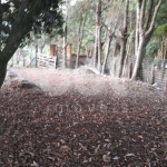 Terreno à venda na Rua Doutor Nelson de Carvalho Pinto, 593, Jardim Alto de Santa Cruz, Itatiba