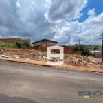 Terreno à venda, 200 m² por R$ 49.500,00 - Loteamento Sanches dos Santos - Apucarana/PR