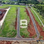 Terreno à venda, 200 m² por R$ 194.000,00 - Vila Nossa Senhora da Conceição - Apucarana/PR