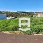 Terreno à venda, 300 m² por R$ 85.000,00 - Jardim Primavera - Apucarana/PR