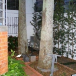 Casa com 3 quartos à venda na Rua Céu Tropical, 226, Conjunto Residencial Jardim Canaã, São Paulo