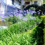 Casa com 4 quartos à venda na Rua Luiz Alves de Araújo, 207, Horto Florestal, São Paulo