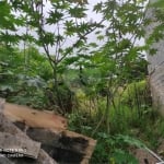 Terreno à venda na Rua Monsenhor Marcondes Nitsch, 108, Chora Menino, São Paulo