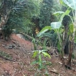 Casa com 3 quartos à venda na Rua Luís Carlos Gentile de Laet, 2200, Horto Florestal, São Paulo