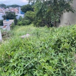 Terreno à venda na Rua Abadia dos Dourados, 550, Vila Indiana, São Paulo