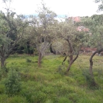 Terreno à venda na Avenida Aníbal Correia, 1, Parque Viana, Barueri