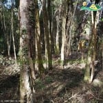 Terreno para Venda em Ibiúna, Centro