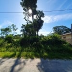 Terreno à venda, 300 m² por R$98.000,00 - Brandalize - Itapoá/SC