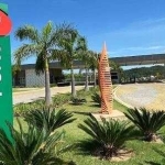 Lote à venda quitado no Jardins Porto de 320,00 m²